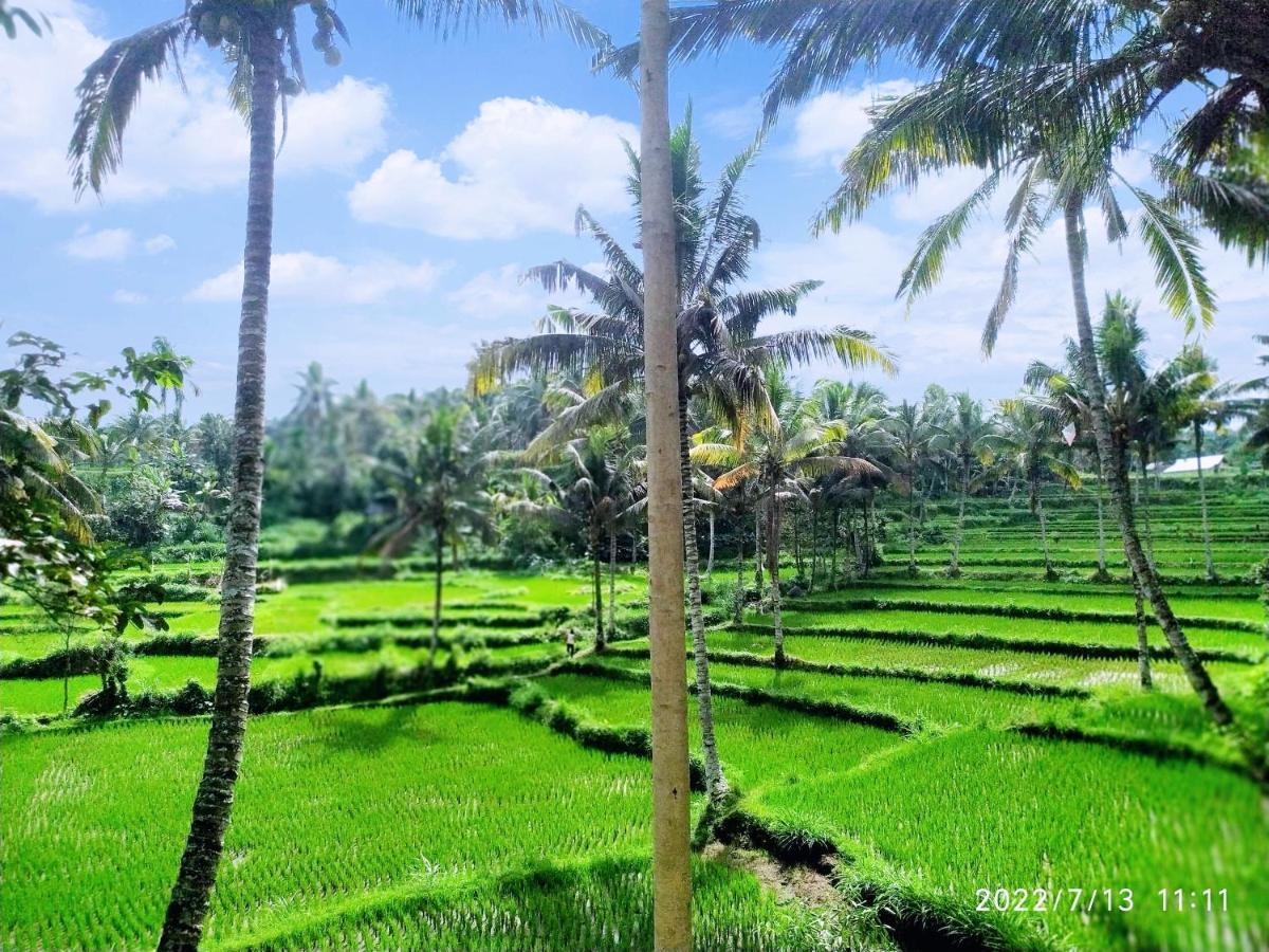 Green Haven Homestay Tetebatu Eksteriør bilde