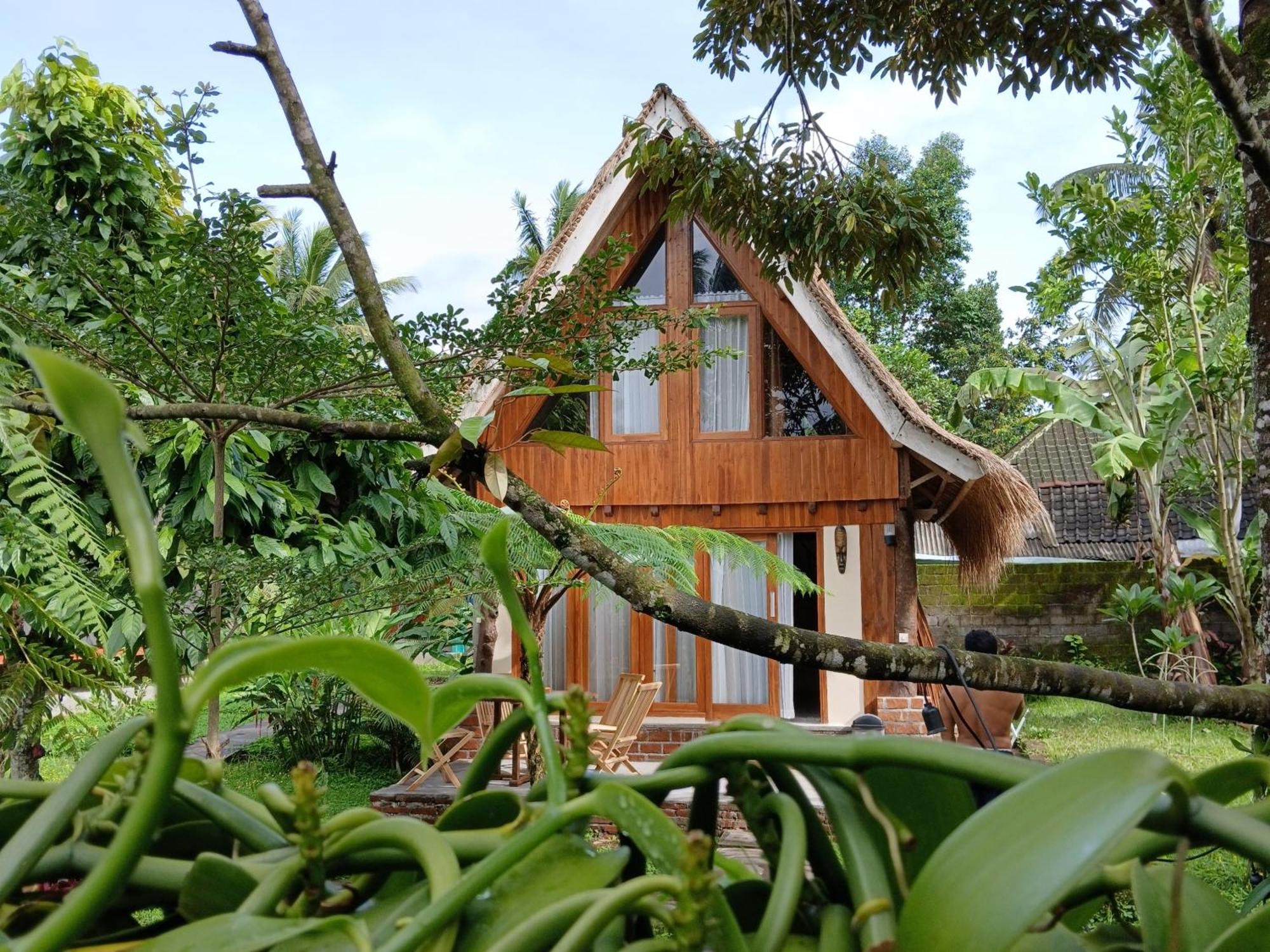 Green Haven Homestay Tetebatu Eksteriør bilde